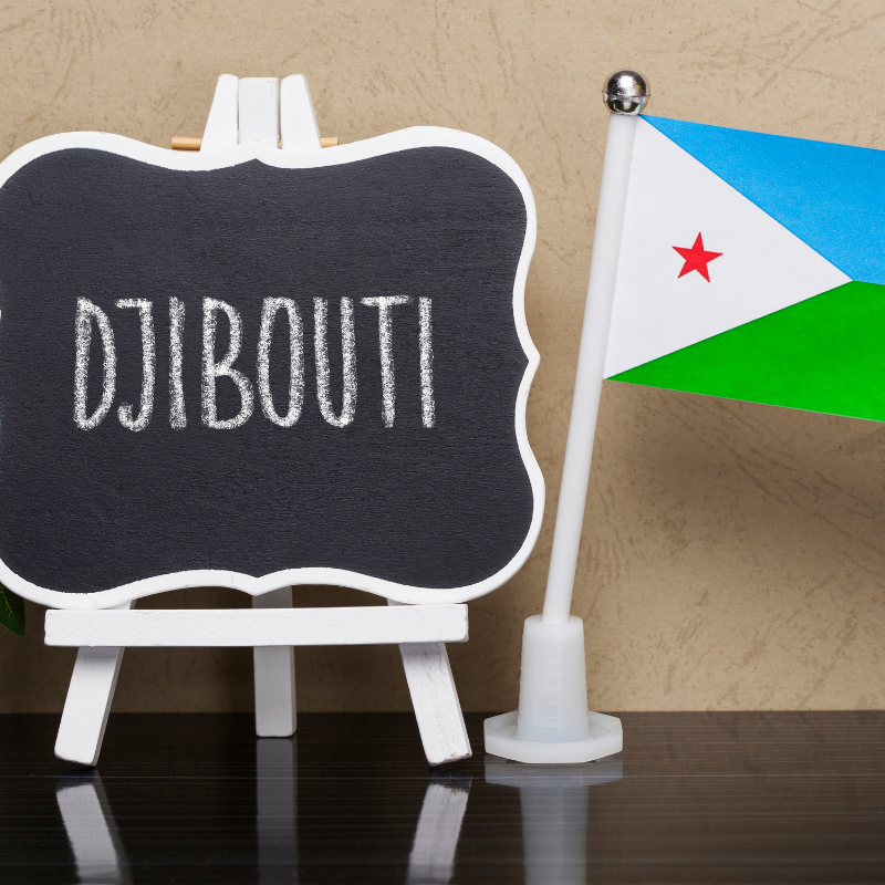 Cibuti Vizesi Çeşitleri Nelerdir?
